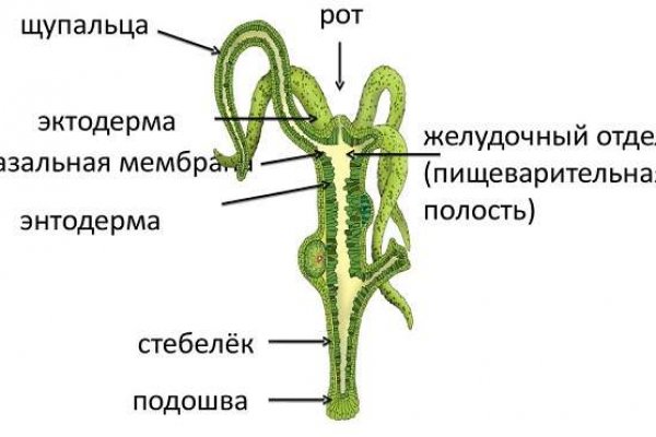 Kraken market ссылка