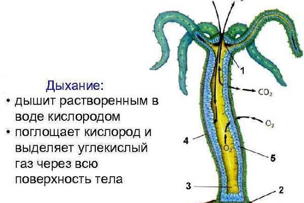 Кракен как зарегистрироваться