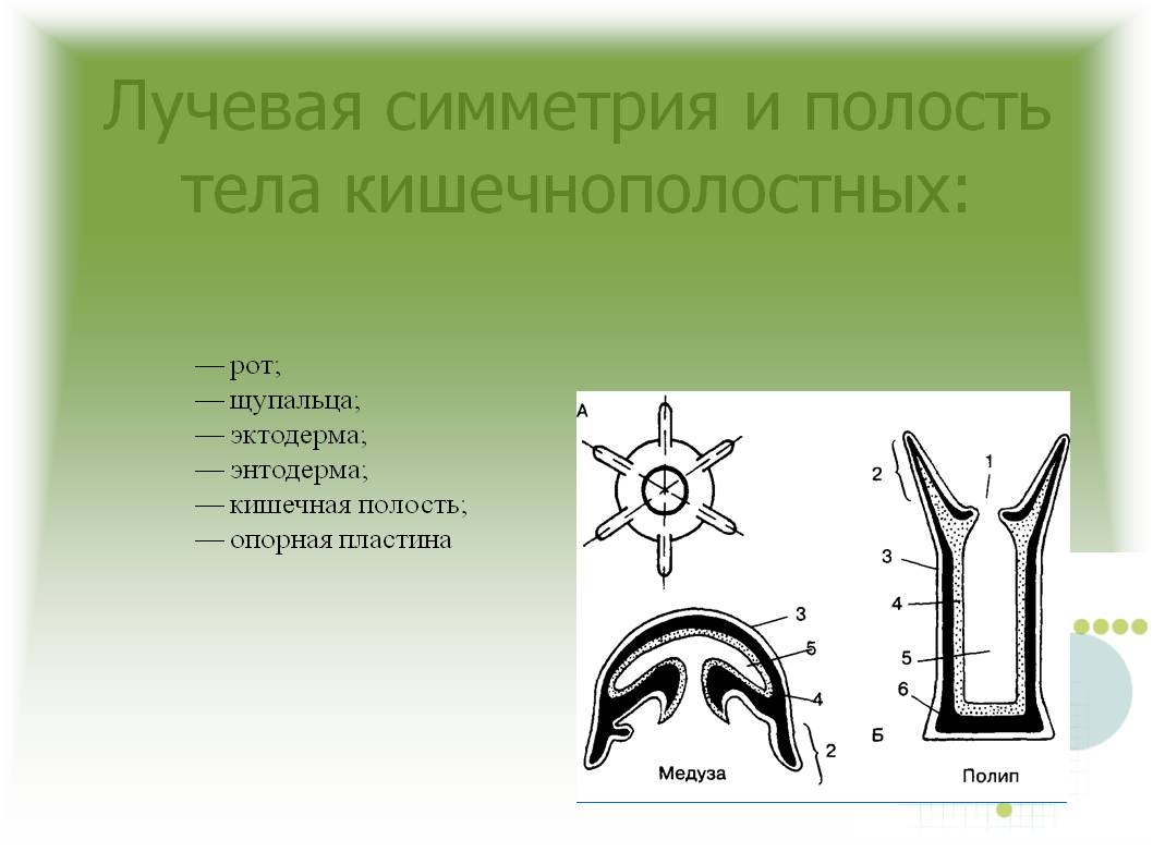 Кракен сайт krk market com