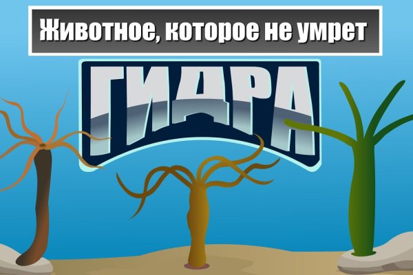 Кракен войти на сайт